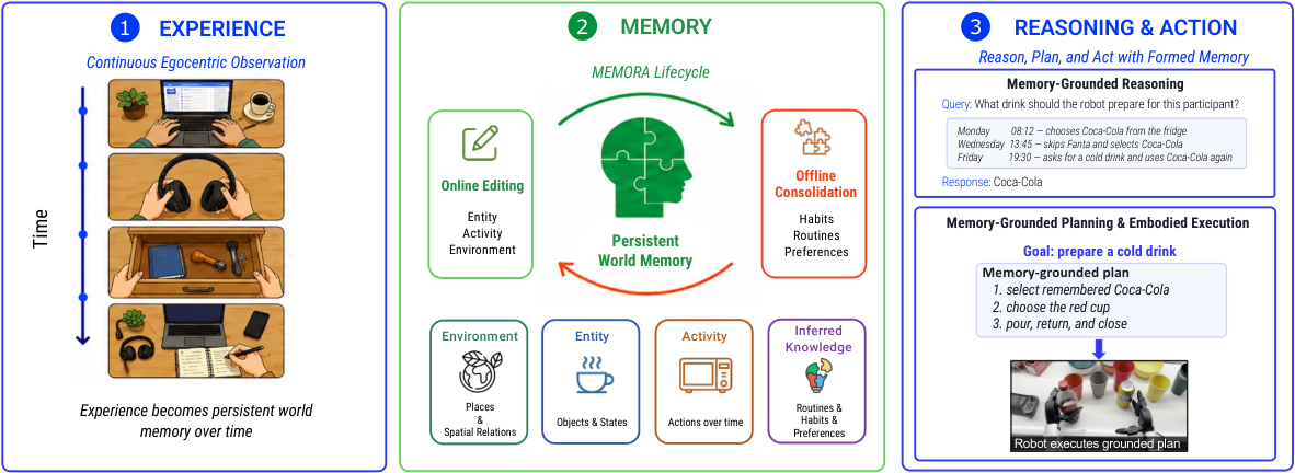 MEMORA Overview